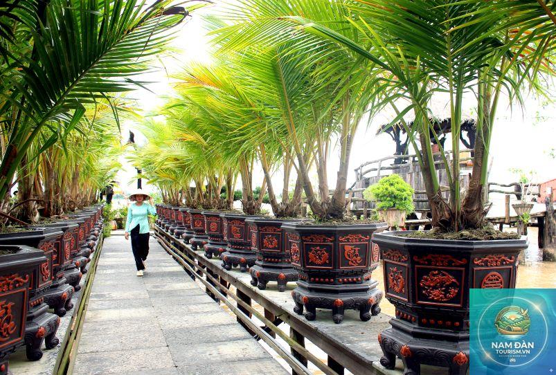 khu du lịch sinh thái cù lao dừa - Hình 3