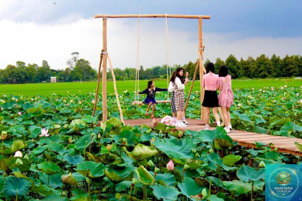 khu du lịch sinh thái đồng sen tháp mười