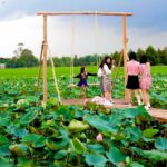 khu du lịch sinh thái đồng sen tháp mười