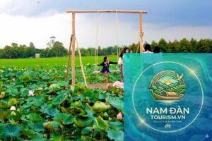 khu du lịch sinh thái đồng sen tháp mười