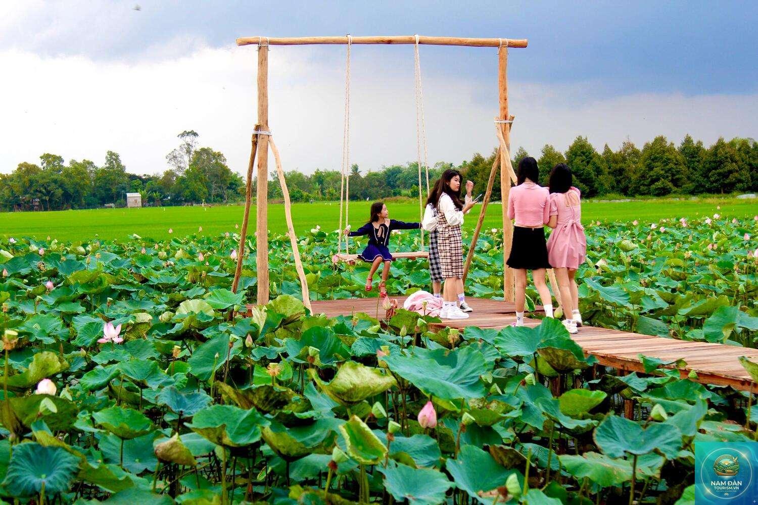 khu du lịch sinh thái đồng sen tháp mười - Hình 1