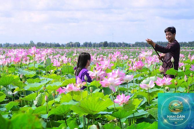khu du lịch sinh thái đồng tháp mười long an - Hình 1