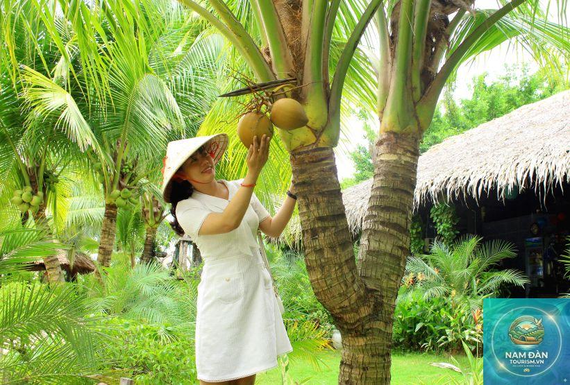 khu du lịch sinh thái dừa xanh - Hình 2