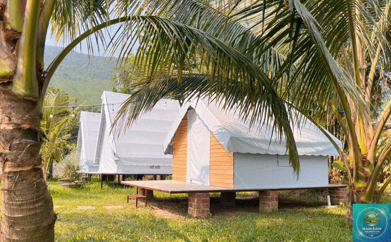 khu du lịch sinh thái dừa xanh - Hình 1