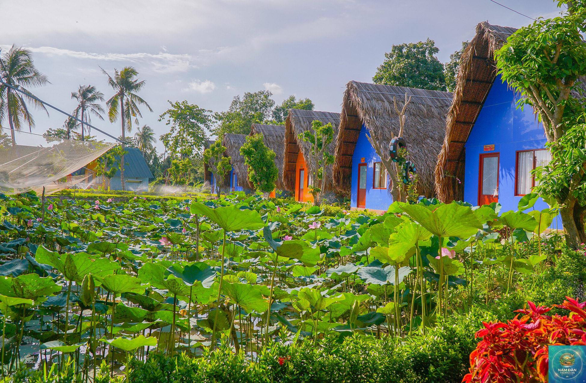 khu du lịch sinh thái hoàng hảo - Hình 4