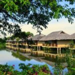 Khu du lịch sinh thái Mekong Riverside – Hành trình khám phá miền Tây sông nước giữa lòng thiên nhiên