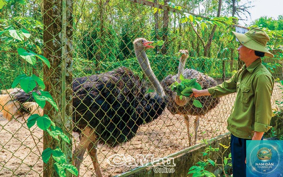 khu du lịch sinh thái sông trẹm - Hình 3
