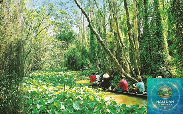 khu du lịch tràm chim - Hình 3