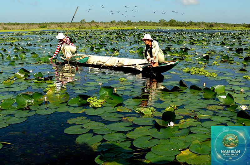 khu dự trữ sinh quyển kiên giang - Hình 2