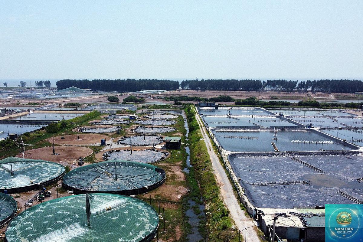 khu nông nghiệp công nghệ cao bạc liêu - Hình 2