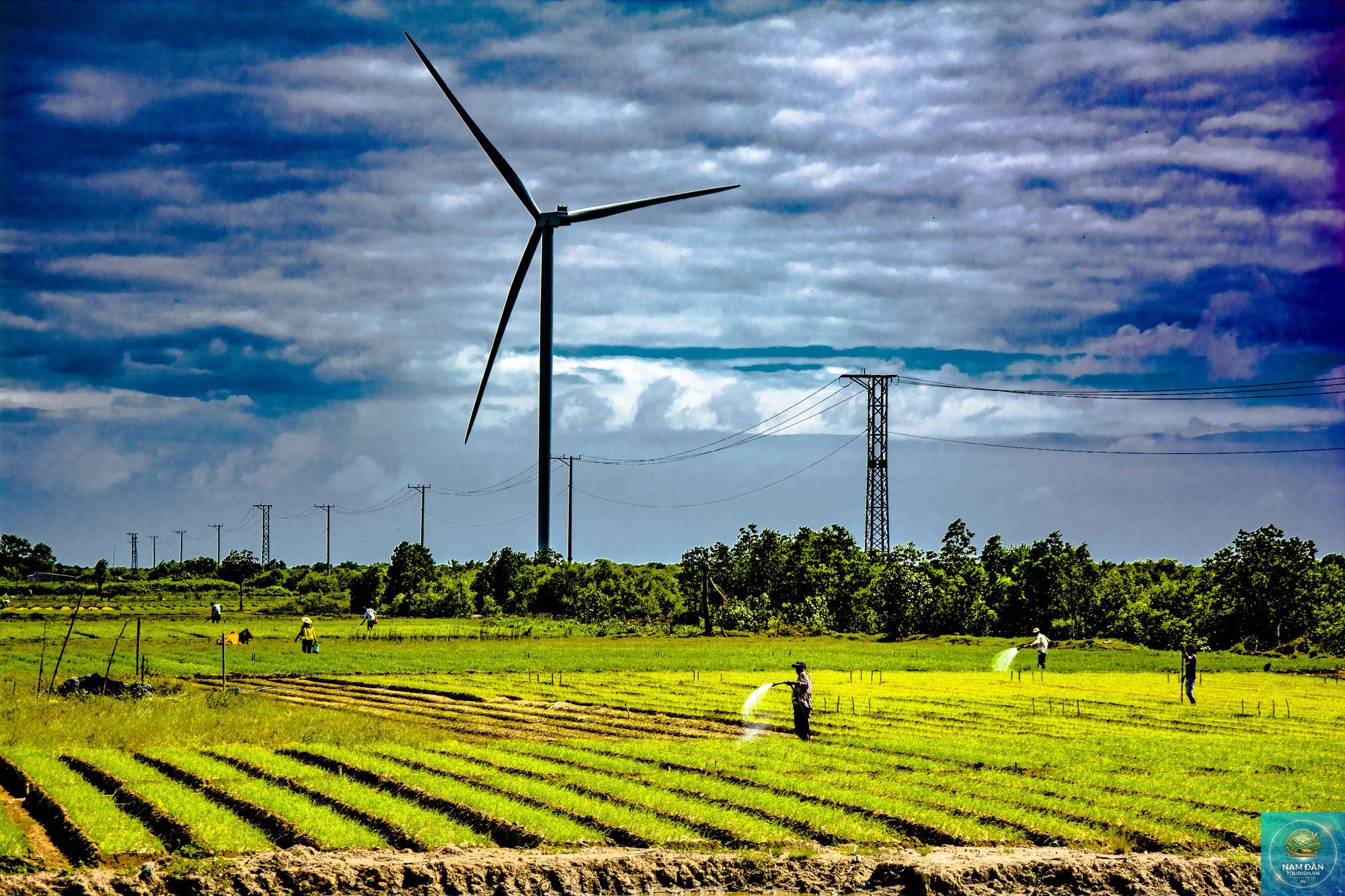 khu nông nghiệp vĩnh châu - Hình 3