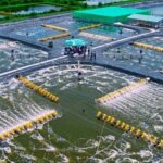 khu nuôi tôm công nghệ cao sóc trăng