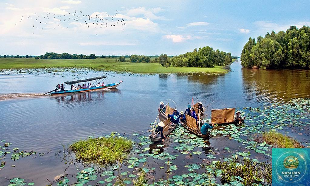 khu sinh thái an hiệp đồng tháp - Hình 1