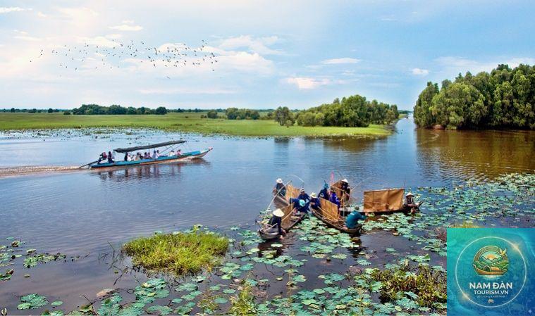 khu sinh thái đất ngập nước tam nông - Hình 2