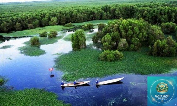 khu sinh thái đất ngập nước tam nông - Hình 3