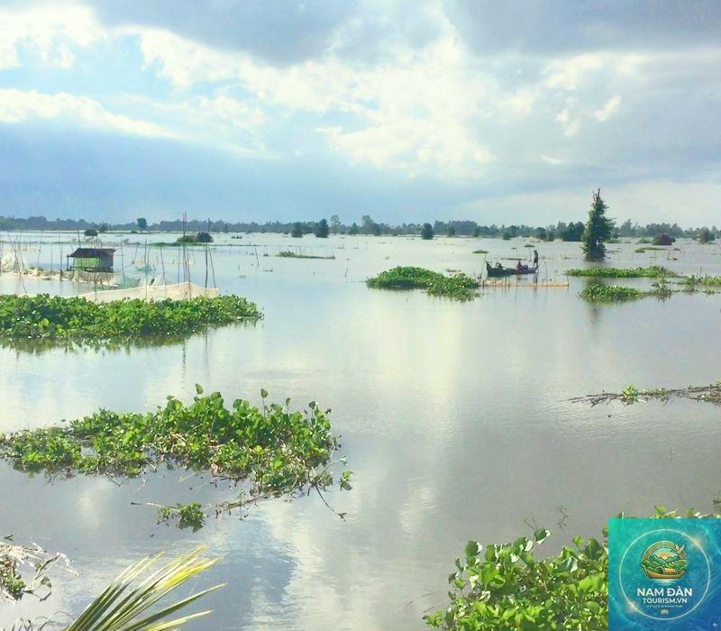 khu sinh thái đất ngập nước tam nông - Hình 1