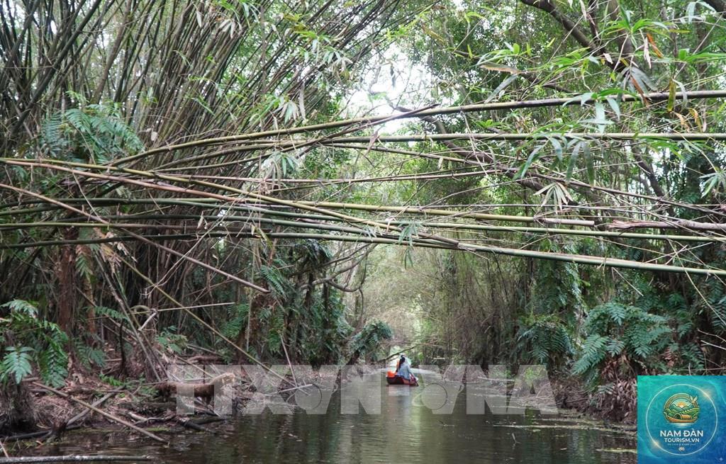 khu sinh thái đất ngập nước tháp mười - Hình 5