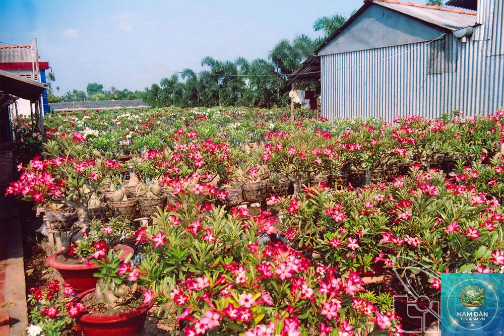 khu sinh thái tân quy đông - Hình 4