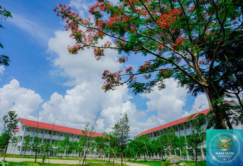 khuôn viên đại học cần thơ - Hình 5