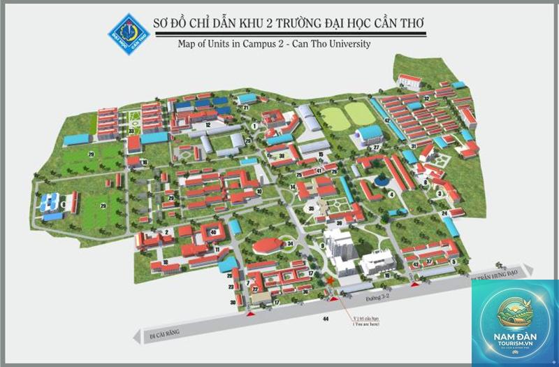 khuôn viên đại học cần thơ