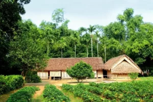 kinh nghiệm đi quê bác hồ