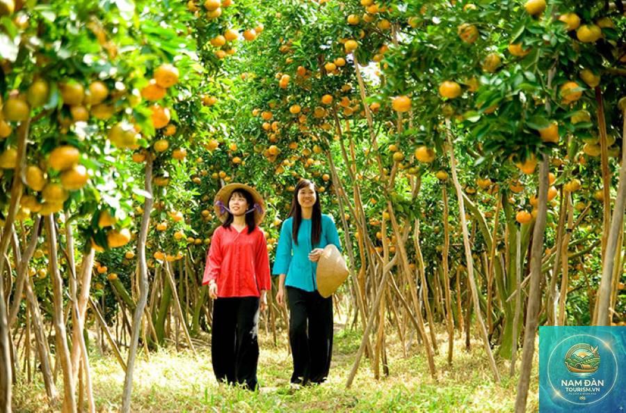 kinh nghiệm đi vĩnh long từ tphcm - Hình 5