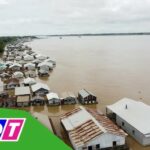 Khám Phá Làng Cá Bè Hồng Ngự – Điểm Đến Độc Đáo Giữa Dòng Sông Tiền làng cá bè hồng ngự