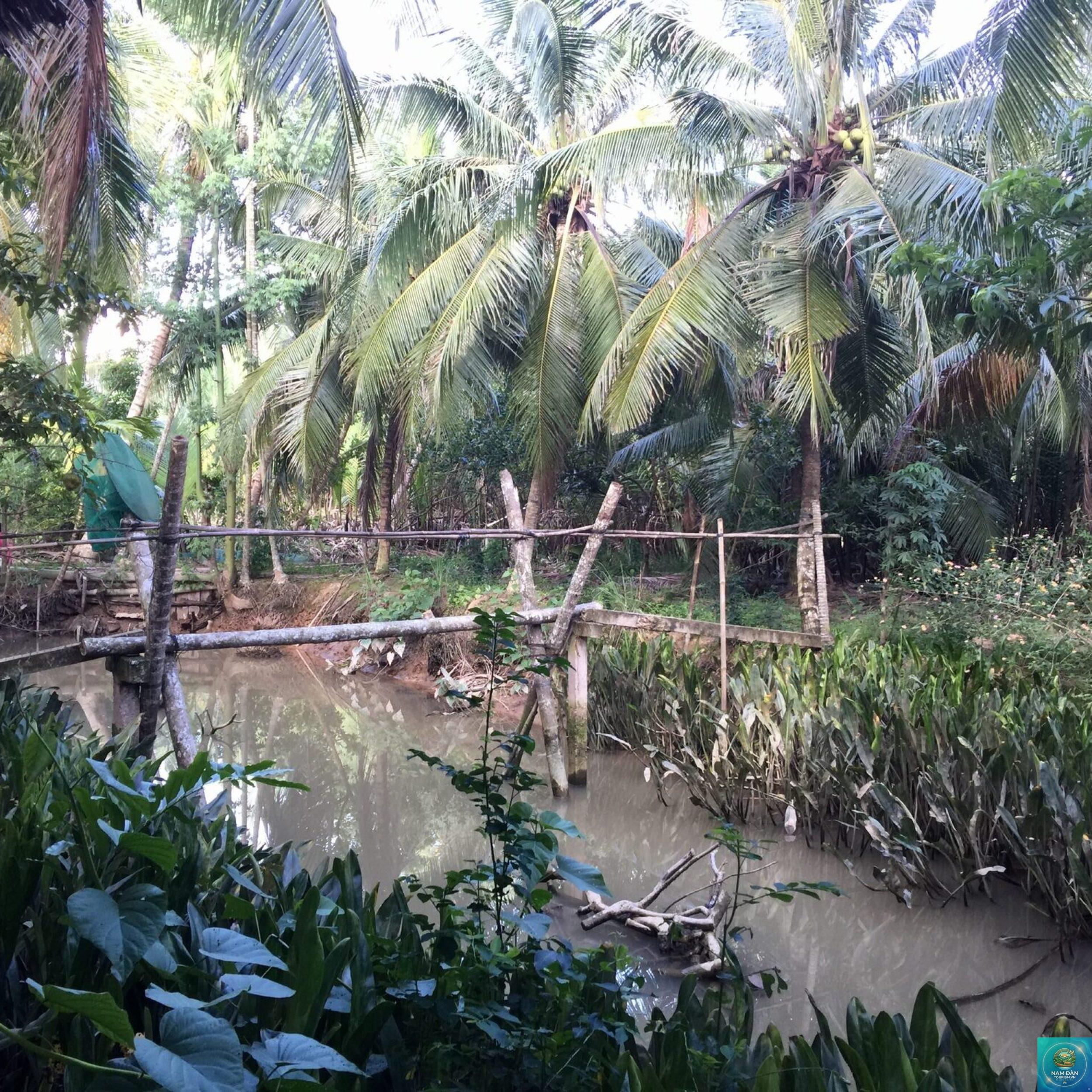 làng du lịch cộng đồng nhơn thạnh - Hình 5