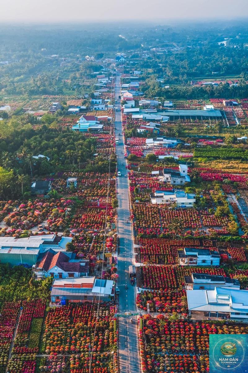 làng hoa kiểng cái mơn - Hình 1