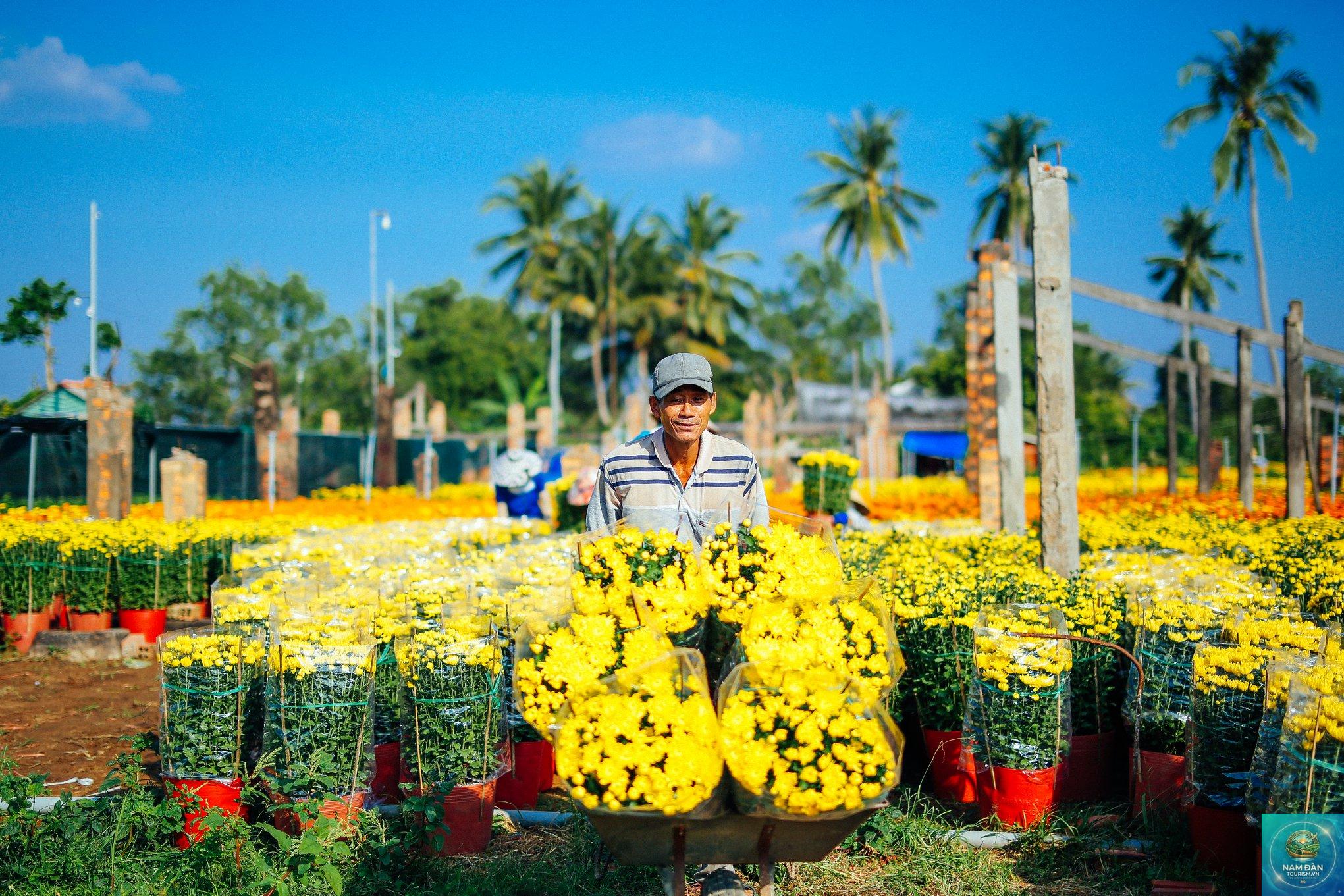 làng hoa kiểng cái mơn - Hình 2