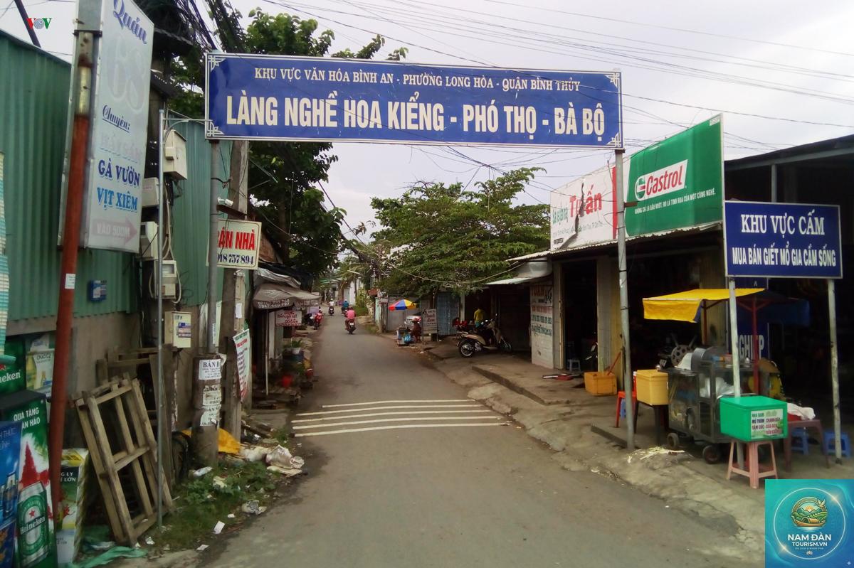 làng hoa phó thọ bà bộ - Hình 2
