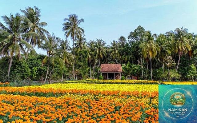 làng hoa phó thọ bà bộ - Hình 4