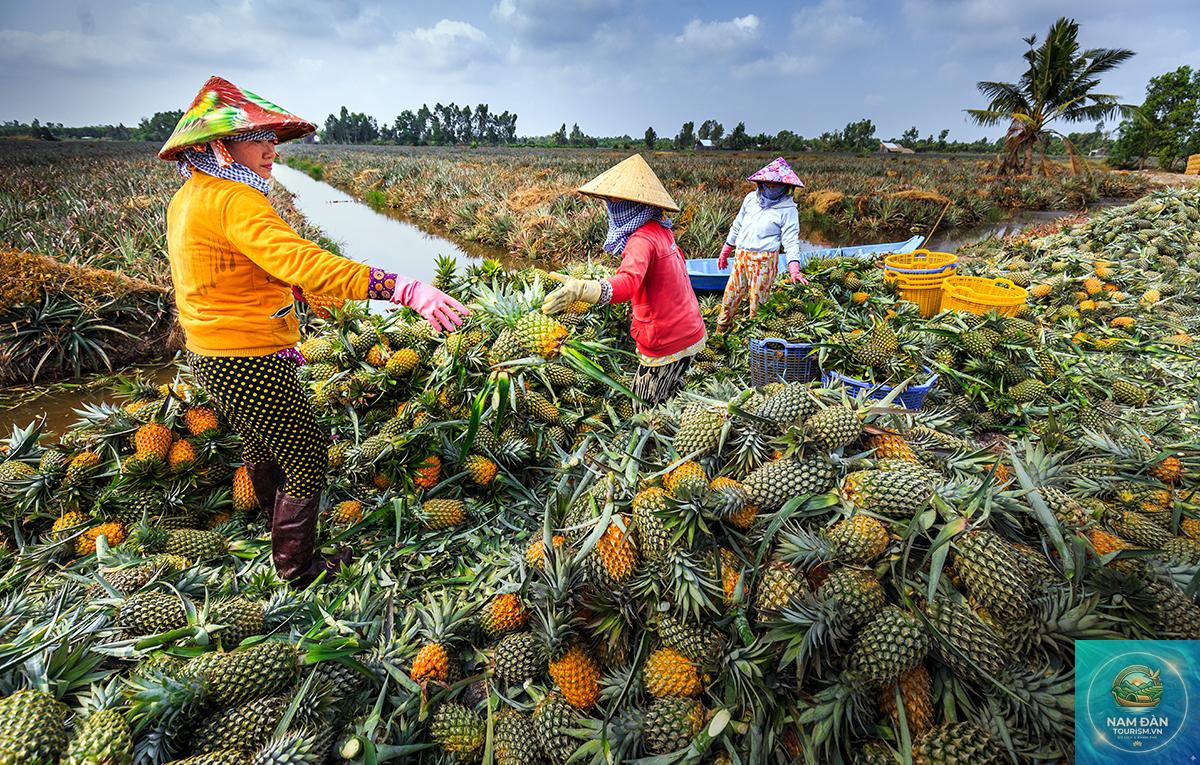 làng khóm cầu đúc - Hình 2