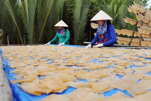 làng nghề bánh phồng tôm sa giang - Hình 3
