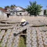 làng nghề bánh tráng mỹ lồng