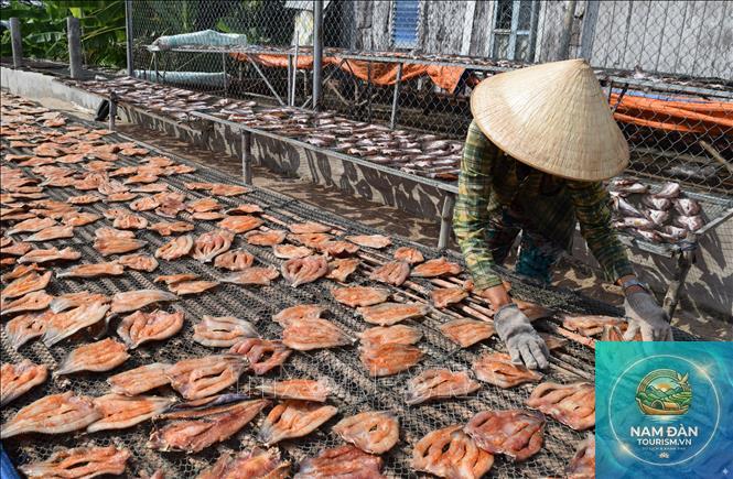 làng nghề cá khô hồng ngự