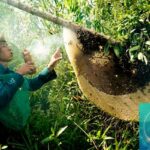 Làng nghề gác kèo ong U Minh - Tinh hoa miền rừng tràm Cà Mau Làng nghề gác kèo ong U Minh - Tinh hoa miền rừng tràm Cà Mau