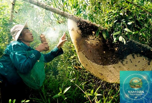 làng nghề gác kèo ong u minh - Hình 4