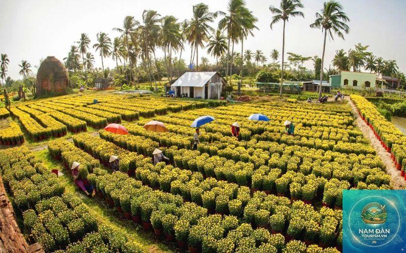 làng nghề hoa kiểng chợ lách - Hình 2