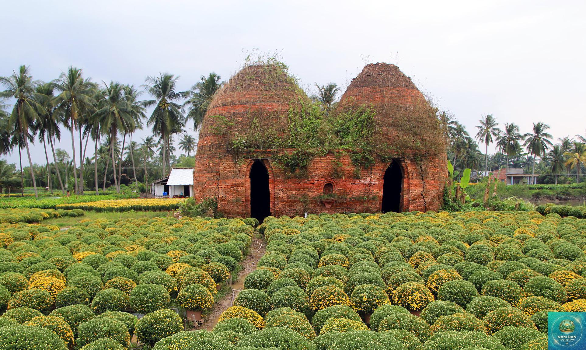 làng nghề hoa kiểng chợ lách - Hình 4