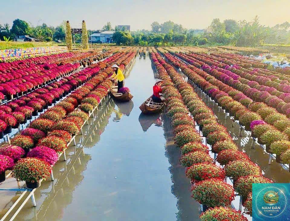 làng nghề hoa kiểng sa đéc - Hình 2