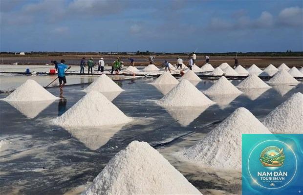 làng nghề muối bạc liêu - Hình 2