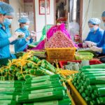 Làng nghề nem Lai Vung – Tinh hoa ẩm thực miền Tây và bí quyết giữ hồn quê làng nghề nem lai vung