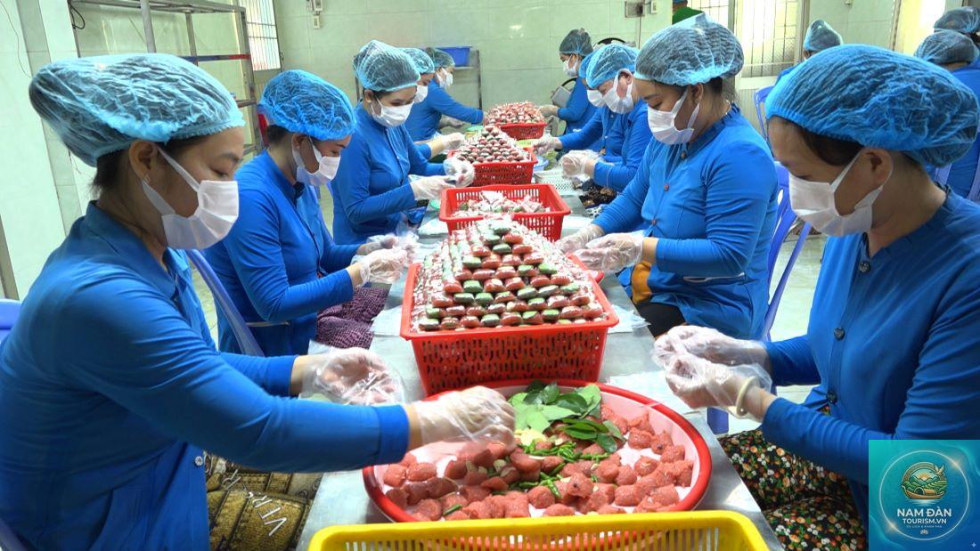 làng nghề nem lai vung - Hình 3