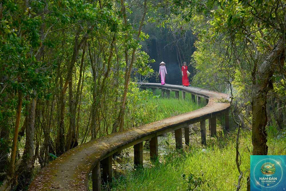 làng nổi tân lập - Hình 3