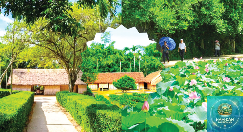 làng sen nam đàn - Hình 4