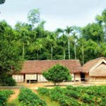 làng sen quê nội bác hồ