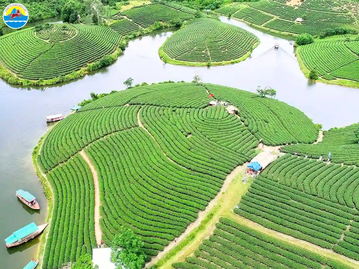 lịch trình du lịch nghệ an 2 ngày 1 đêm - Hình 5