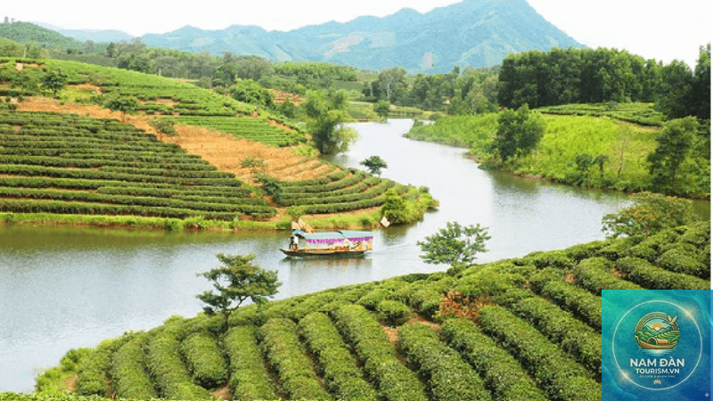 lịch trình du lịch nghệ an 3 ngày 2 đêm - Hình 4