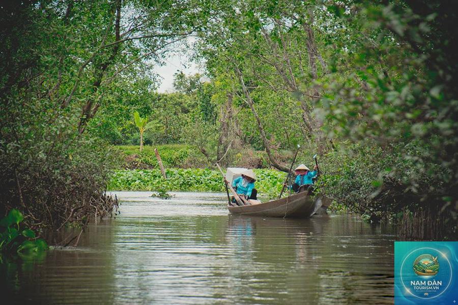 miệt vườn cù lao an bình - Hình 3